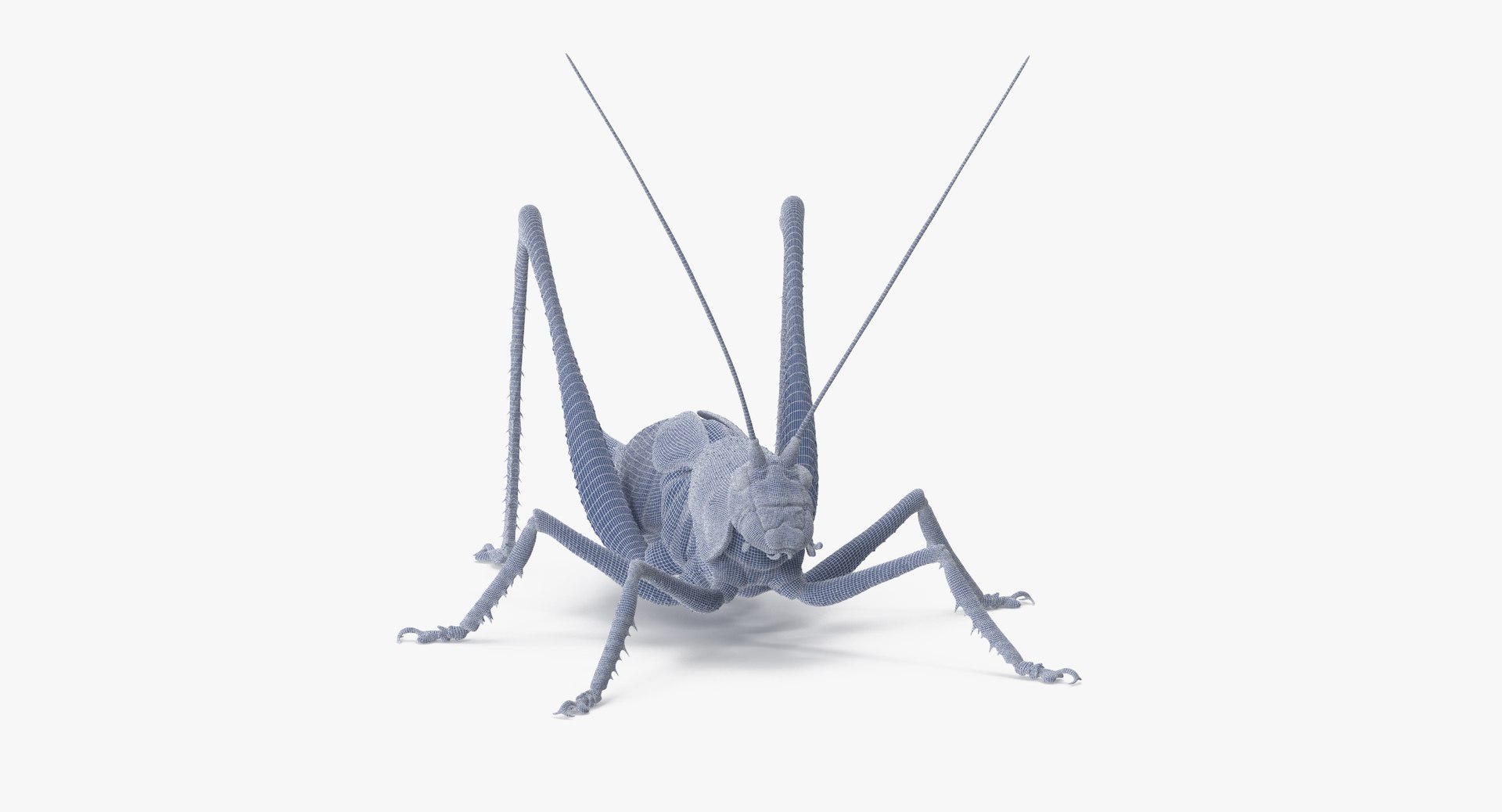 3d Rigged Grasshopper Model
