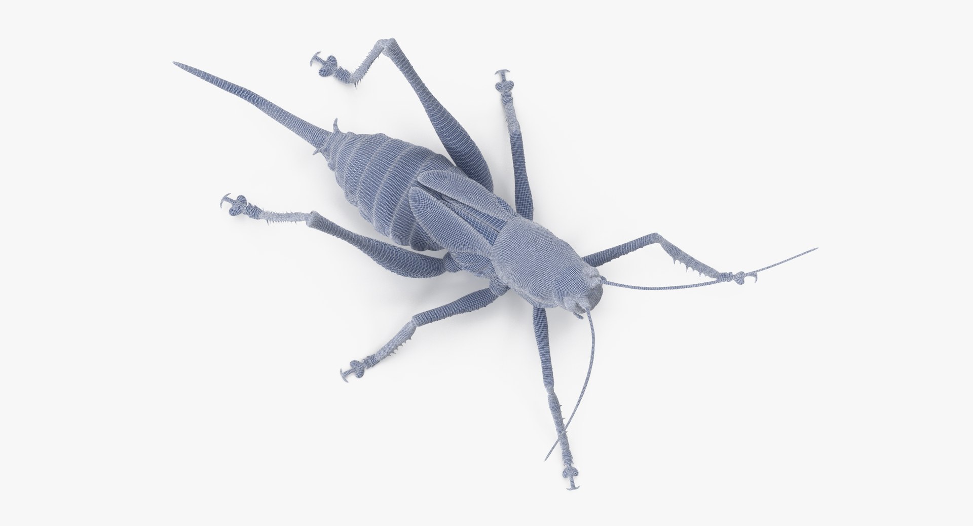 3d Rigged Grasshopper Model
