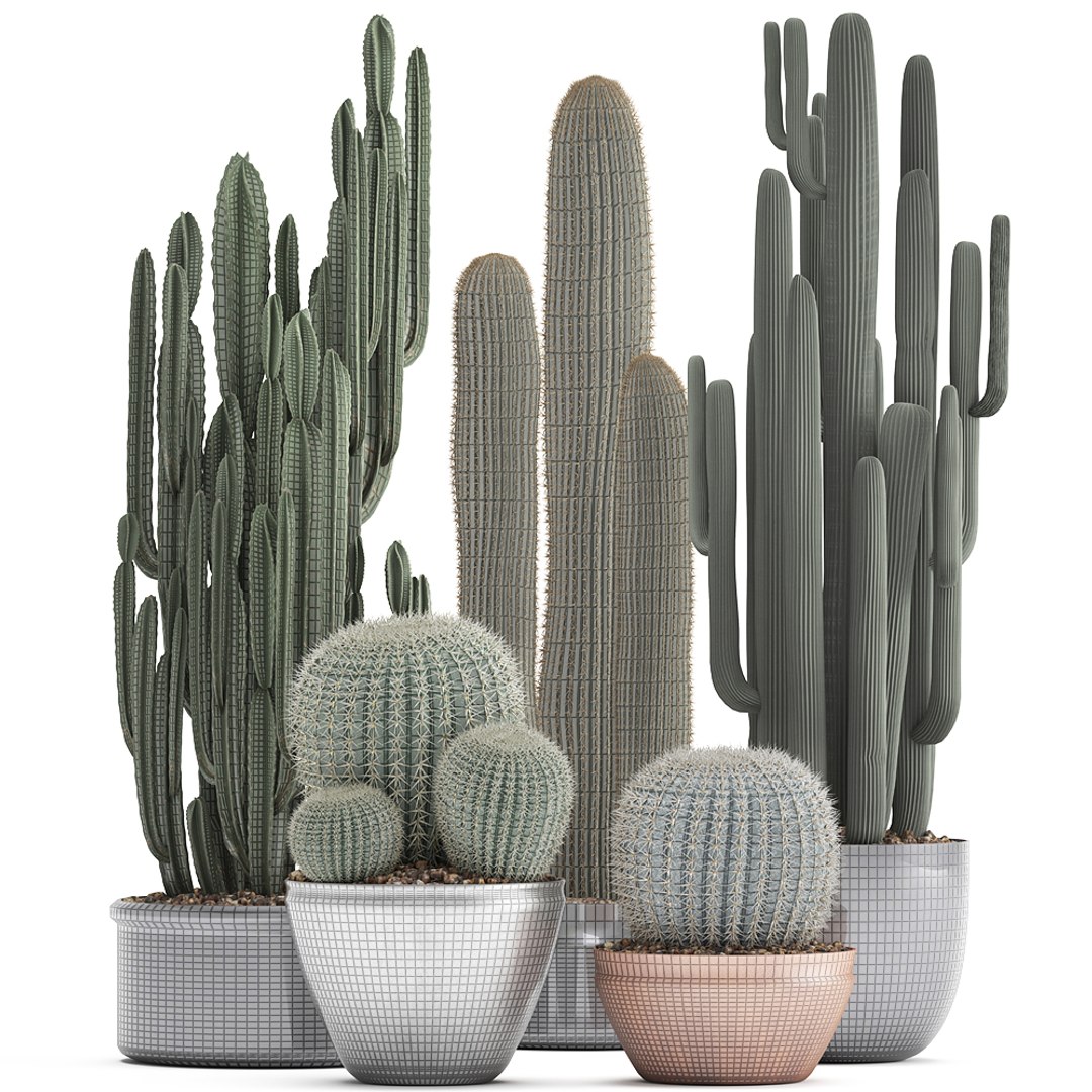 plants exotic cactus saguaro model https://p.turbosquid.com/ts-thumb/6e/2p2XW0/1og4W6tX/cactus05041908/jpg/1554643312/1920x1080/fit_q87/6b96dc077ad1cd5d14b2c0227c8452a252a18517/cactus05041908.jpg