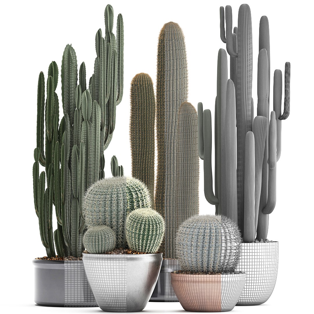 plants exotic cactus saguaro model https://p.turbosquid.com/ts-thumb/6e/2p2XW0/6cy9nlEg/cactus05041907/jpg/1554643312/1920x1080/fit_q87/582ede4b83aa164cbc3e5ed6477e040b3dd92339/cactus05041907.jpg