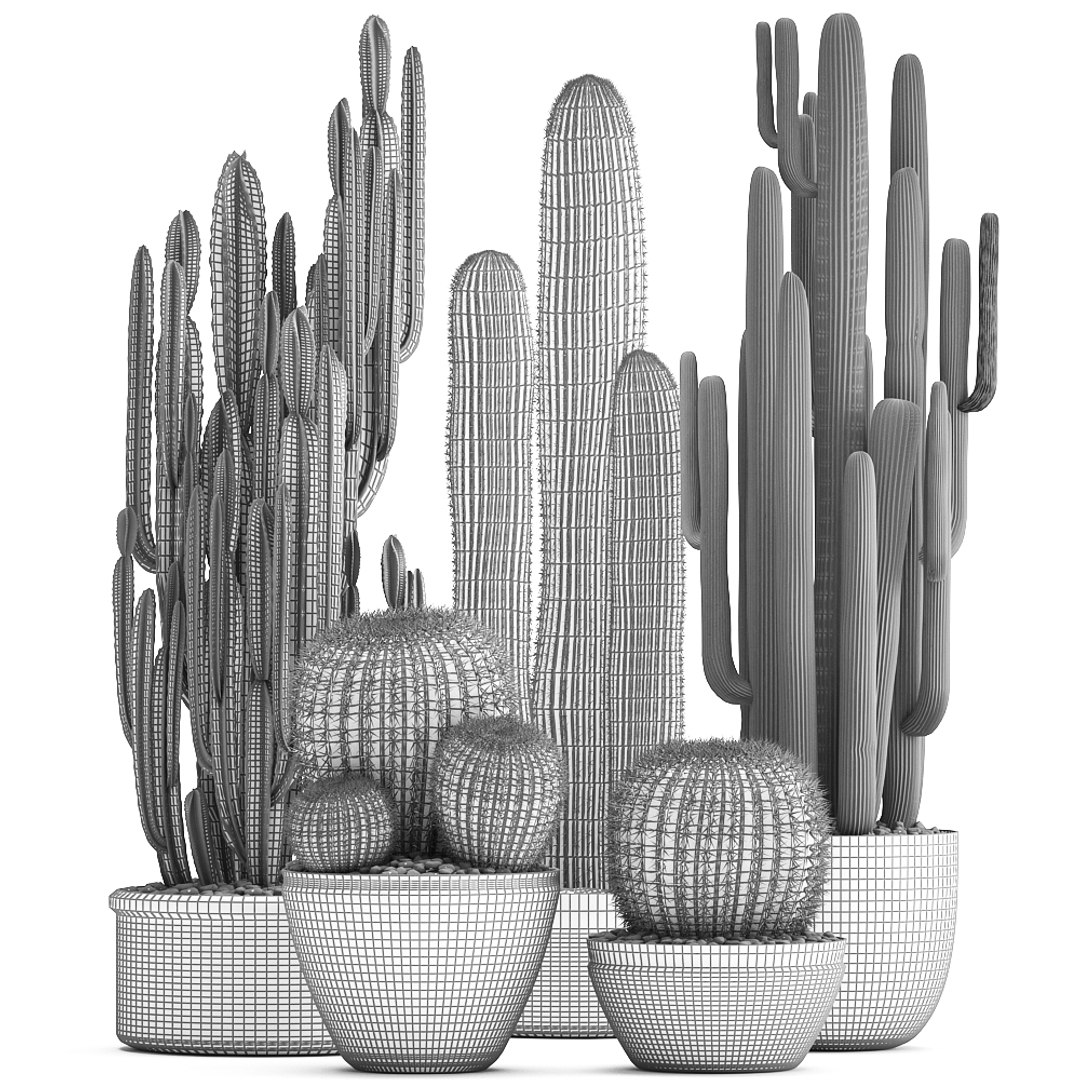 plants exotic cactus saguaro model https://p.turbosquid.com/ts-thumb/6e/2p2XW0/J8RnblZc/cactus05041909/jpg/1554643313/1920x1080/fit_q87/7a91daf090d614368b9ed4079b2faf2227bd1f60/cactus05041909.jpg