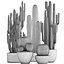 Collection de plantes de cactus exotiques 2