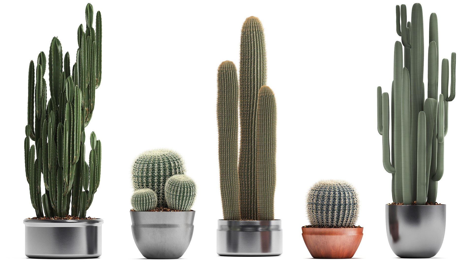 plants exotic cactus saguaro model https://p.turbosquid.com/ts-thumb/6e/2p2XW0/wR62TIqu/cactus05041905/jpg/1554643312/1920x1080/fit_q87/3fae0e92e53d208a5e348414451c3be83691a9b6/cactus05041905.jpg