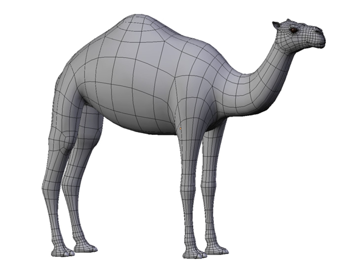 white camel 3d model https://p.turbosquid.com/ts-thumb/6e/F4XEaf/WF2KbwAM/render9/jpg/1282750713/1920x1080/fit_q87/a4790942cf1d69dcfe526bb03db610093b76ed41/render9.jpg