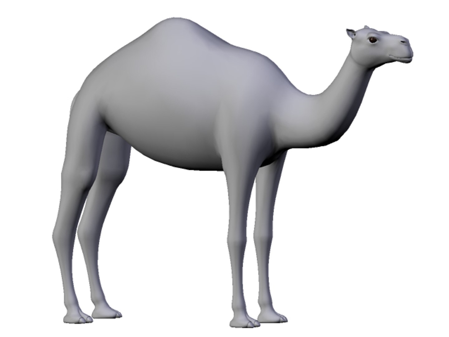 white camel 3d model https://p.turbosquid.com/ts-thumb/6e/F4XEaf/zHKCpnEB/render8/jpg/1282750713/1920x1080/fit_q87/87fd451dcf391cc4609066ff748b087f3ada3ba5/render8.jpg