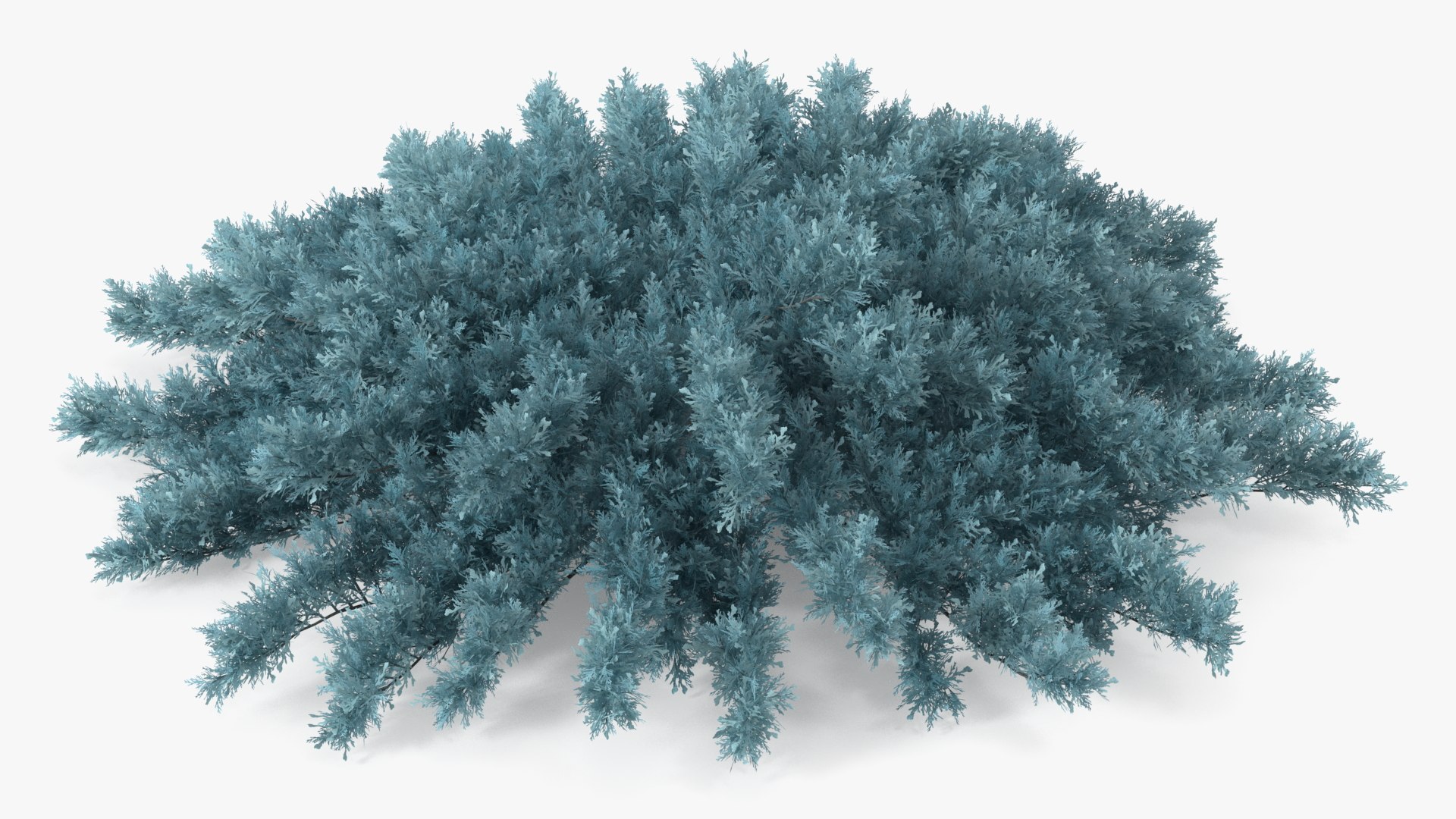3D model Bushes Collection 6 https://p.turbosquid.com/ts-thumb/6e/V7RwSr/TX/bushescollection63dmodel044/jpg/1668169631/1920x1080/fit_q87/d177a315be4c39e11da122f3e90a9dc0b596cc61/bushescollection63dmodel044.jpg