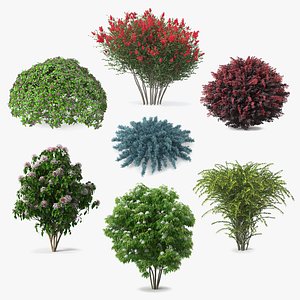 3D model Bushes Collection 6