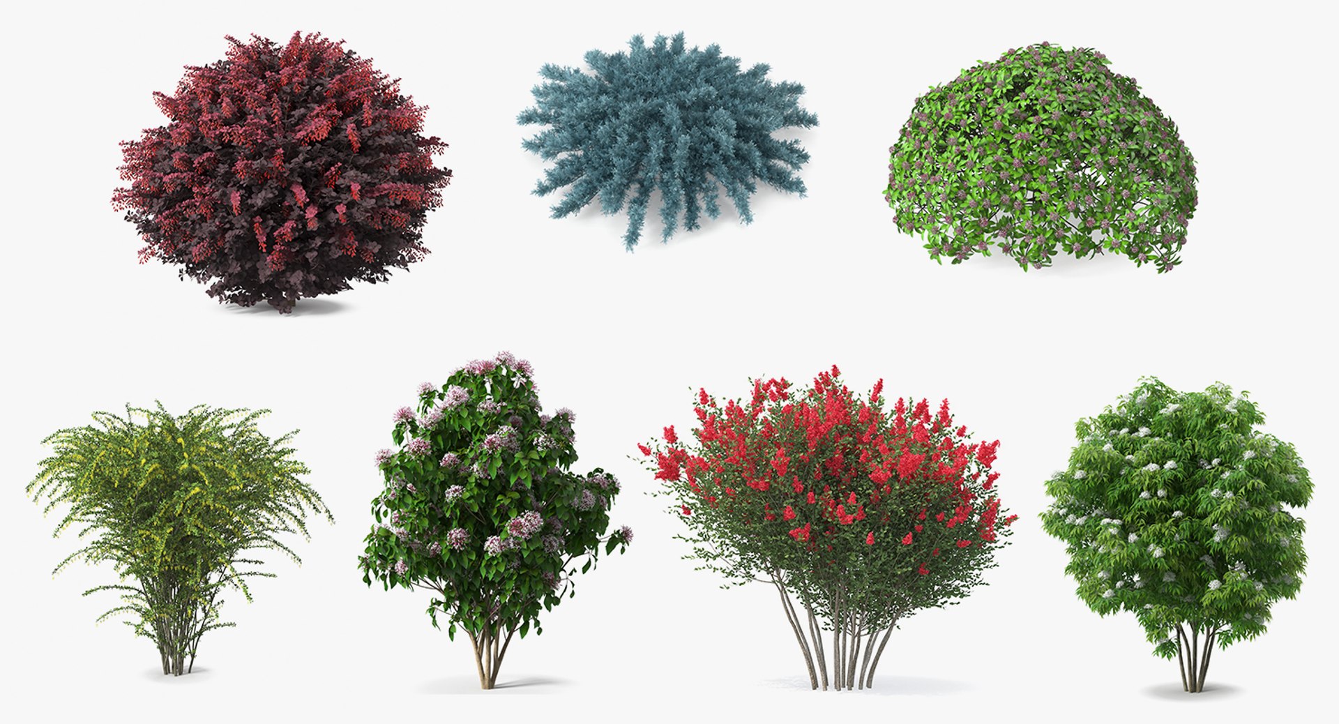3D model Bushes Collection 6 https://p.turbosquid.com/ts-thumb/6e/V7RwSr/fH/bushescollection63dmodel001/jpg/1668169438/1920x1080/fit_q87/4e3c15d2002c9b64bce7f63f1c68888557af25c3/bushescollection63dmodel001.jpg