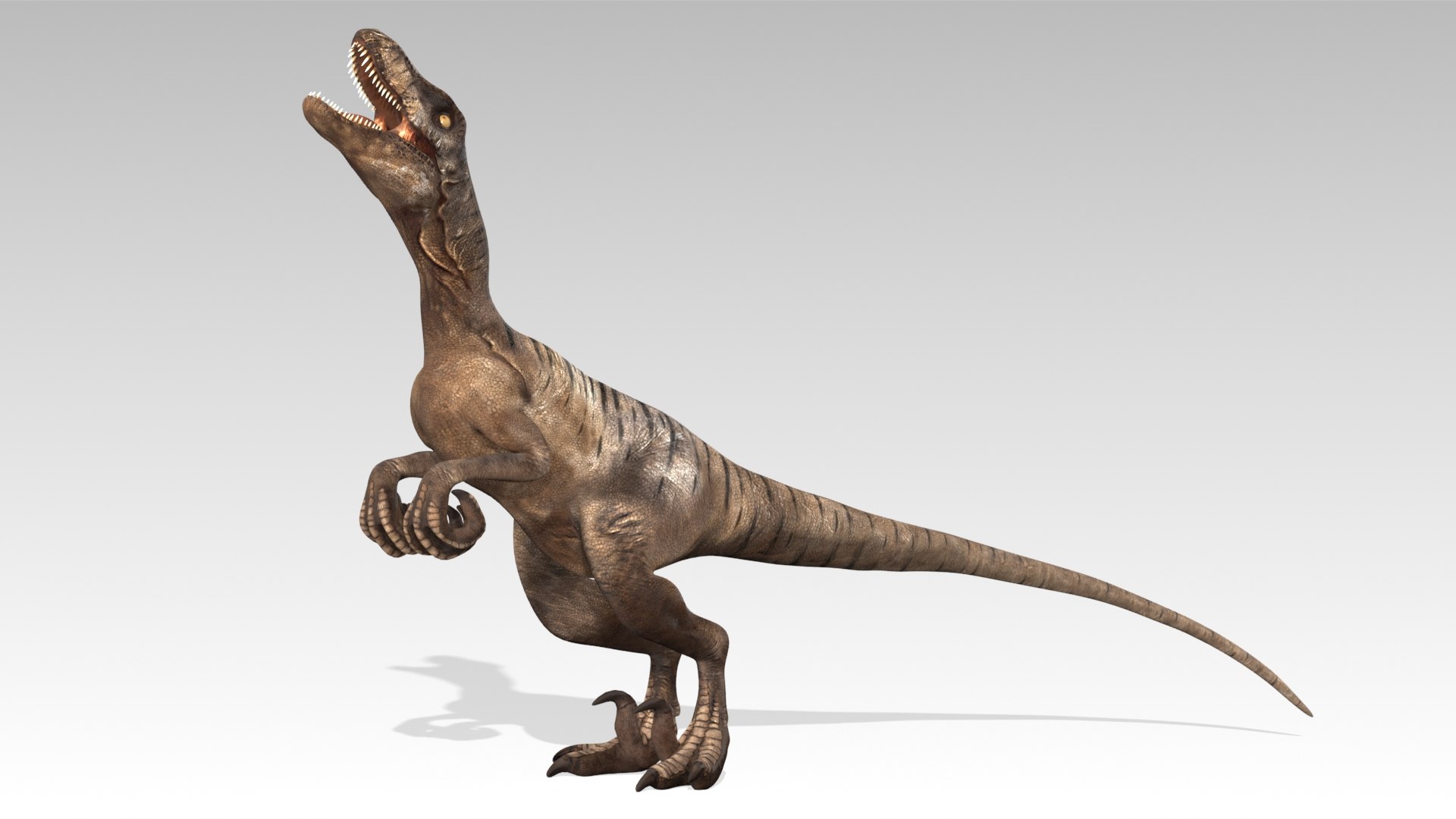 3D Velociraptor - TurboSquid 2392472