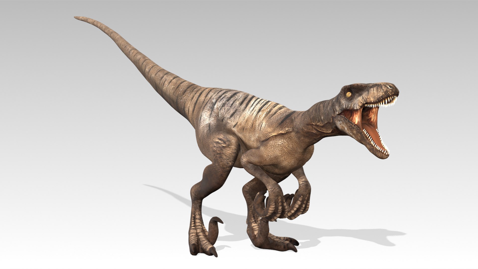 3D Velociraptor - TurboSquid 2392472