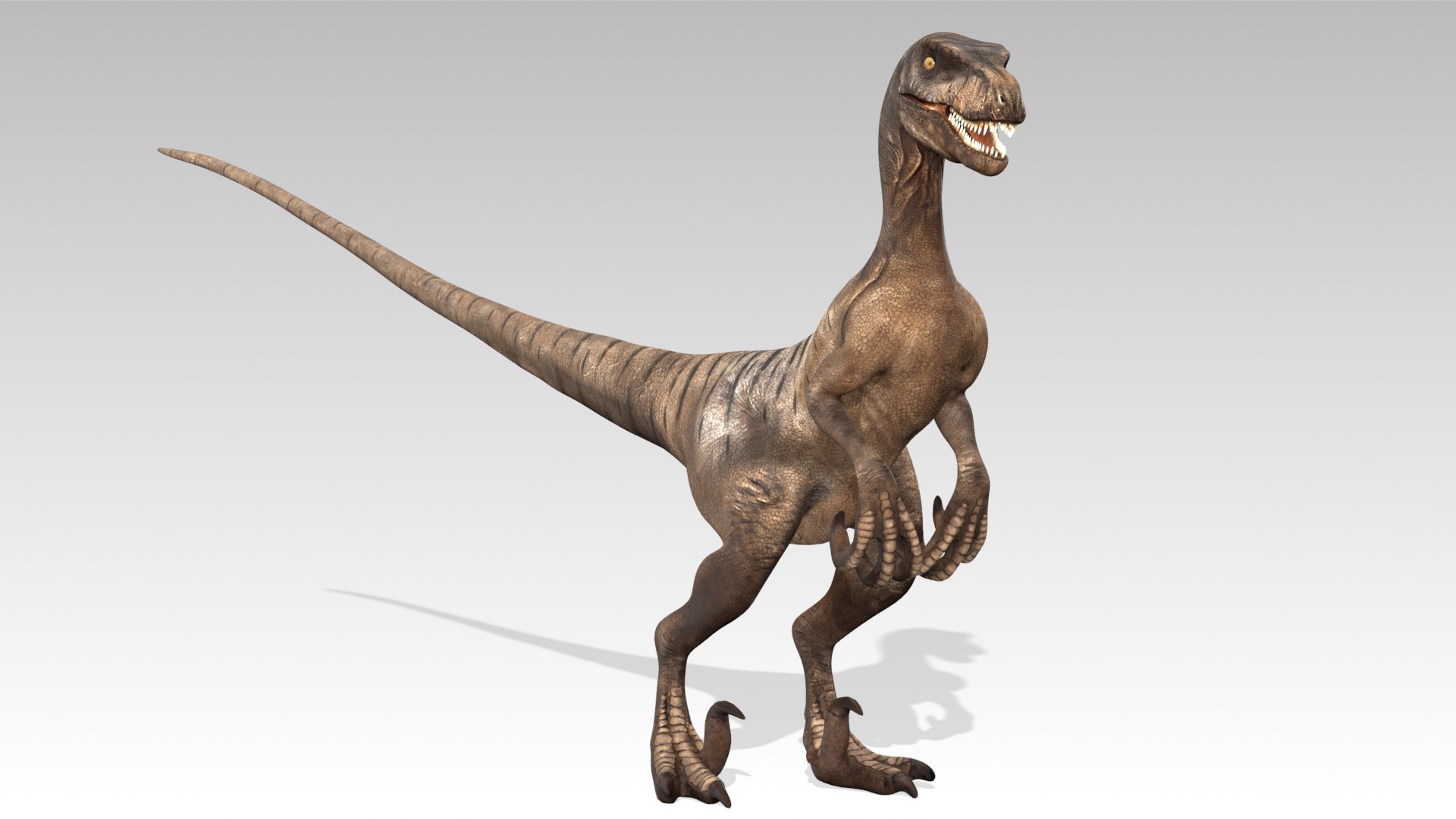 3D Velociraptor - TurboSquid 2392472