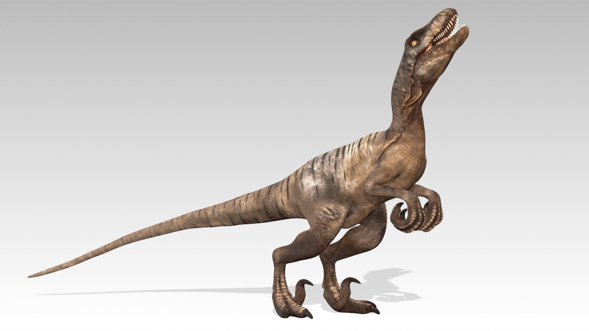 3D Velociraptor - TurboSquid 2392472