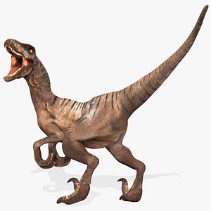 3D Velociraptor