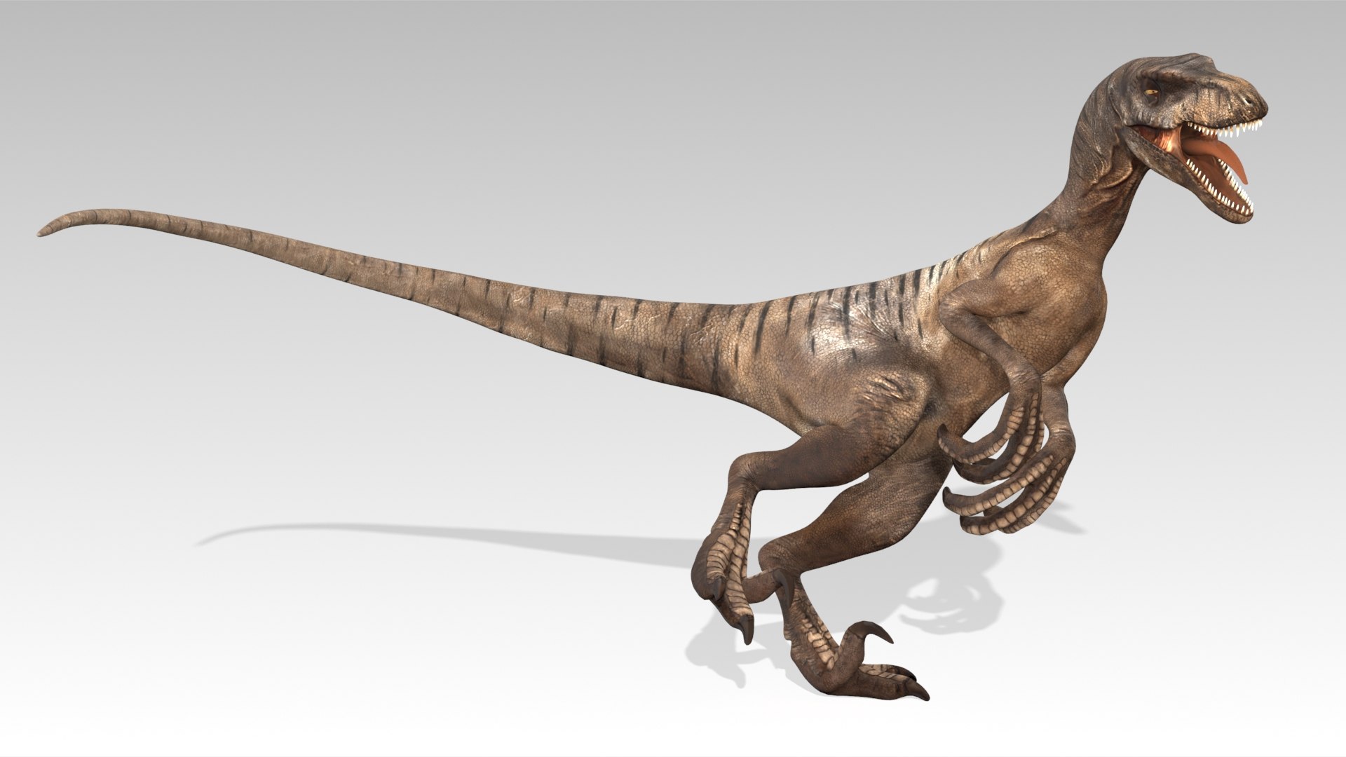 3D Velociraptor - TurboSquid 2392472