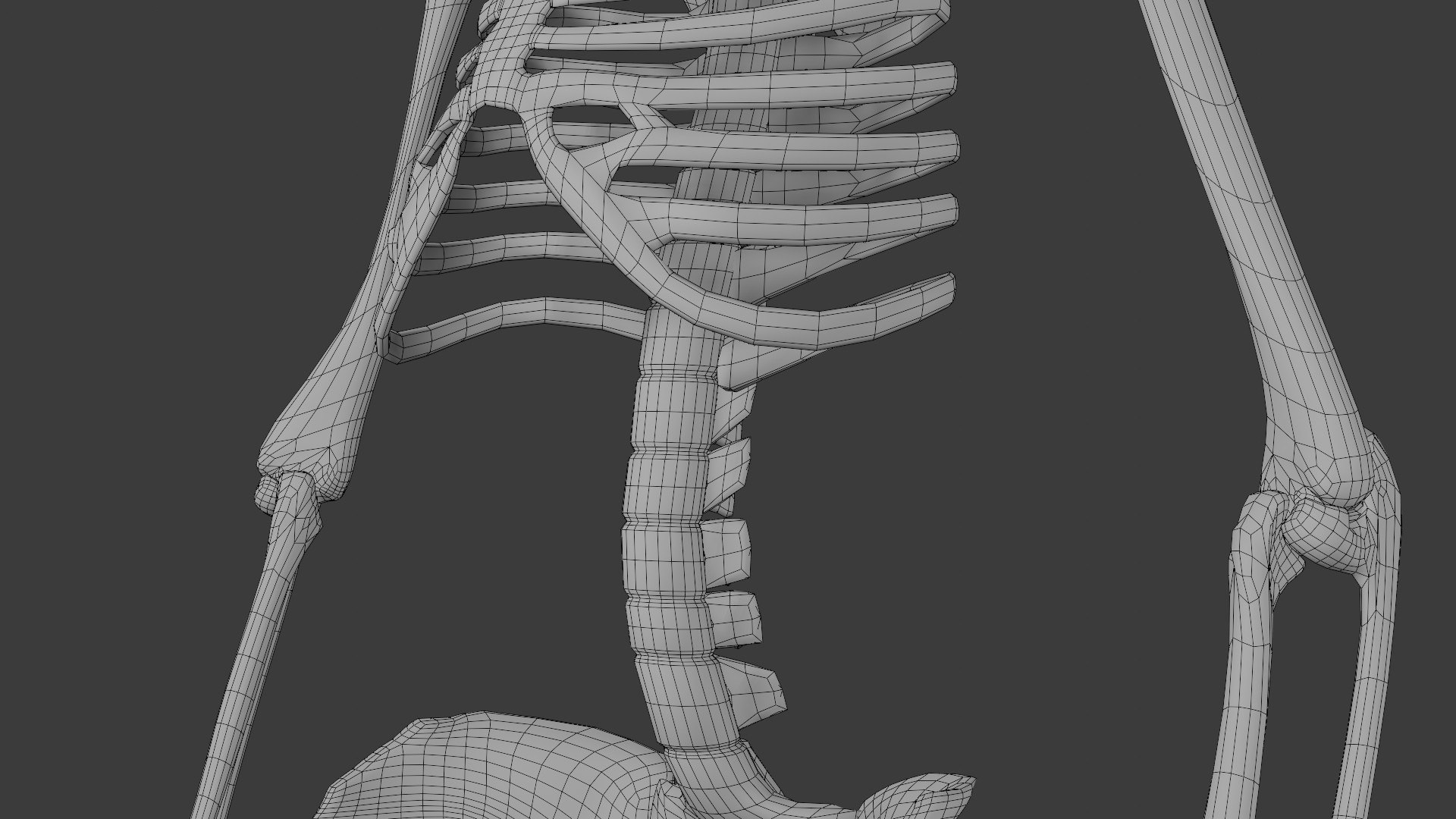 Human Skeleton 3D Model Biology Diagrams