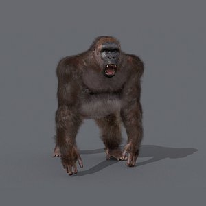 3D Gigantopithecus 8K- 3d animated