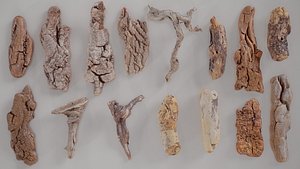 3D 15 3D Scanned Wood Medium Collection