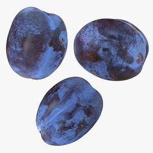 3D realistic plum