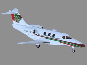 business jet gulf air 3d model