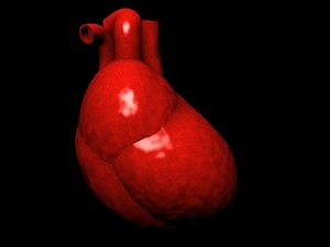 3ds max heart arteries