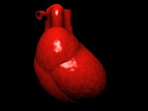 heart2.3ds
