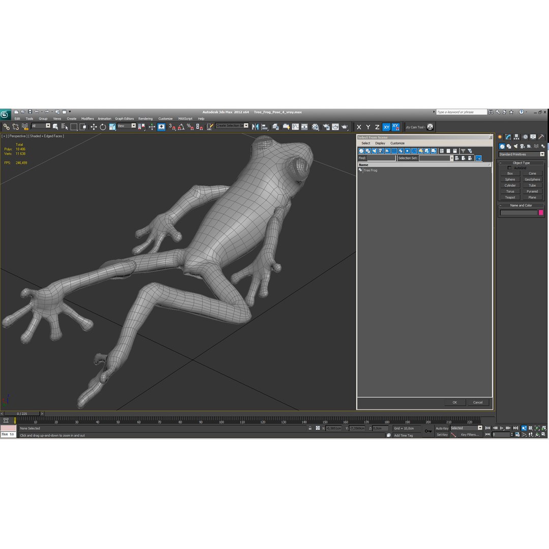 Tree Frog Pose 4 3d Model