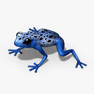 3D model Blue Poison Dart Frog