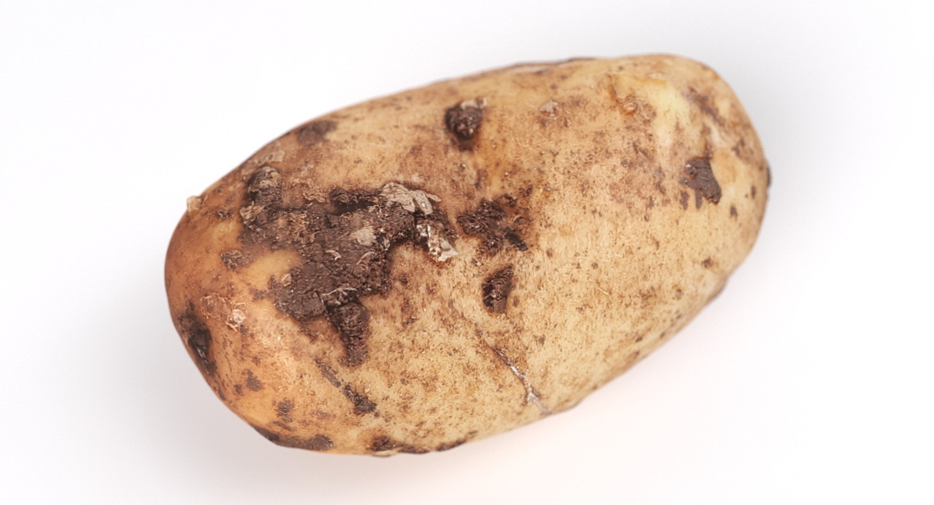 realistic potato 01 3D https://p.turbosquid.com/ts-thumb/6f/EmgGhk/IQA06oOq/7/jpg/1553862275/1920x1080/fit_q87/cdcfae543dc235cb55091cfefe6179c3568e9941/7.jpg