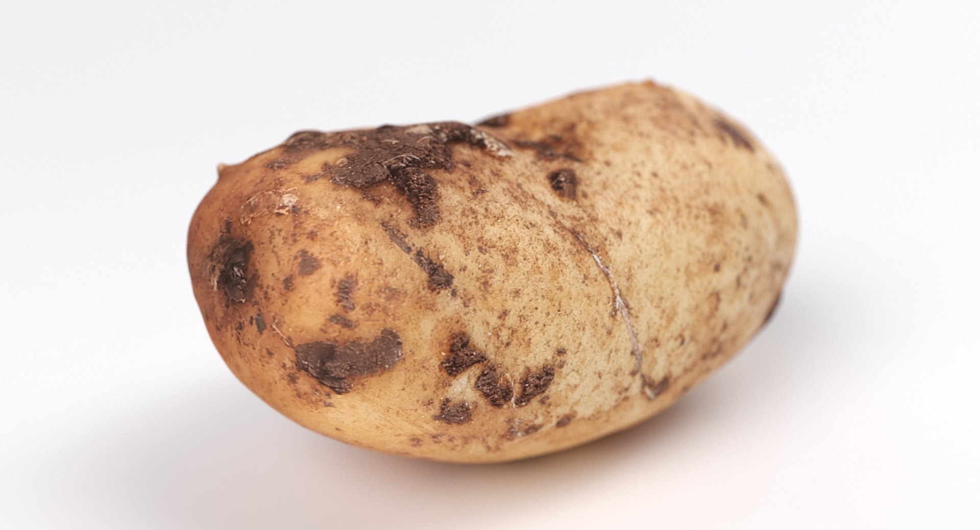 realistic potato 01 3D https://p.turbosquid.com/ts-thumb/6f/EmgGhk/W8ISP6R4/17/jpg/1553862437/1920x1080/fit_q87/1a25fec333b669dc07c8128b57fc8ba4eeb8e131/17.jpg