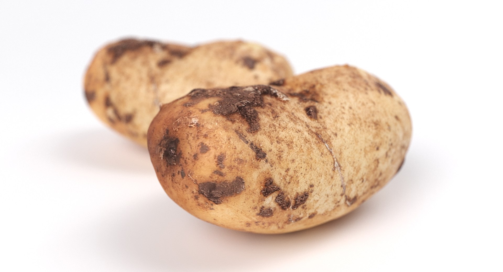 realistic potato 01 3D https://p.turbosquid.com/ts-thumb/6f/EmgGhk/gtgPVQmE/11/jpg/1553862360/1920x1080/fit_q87/326e849c0b384a8cc7b995c27364701f6740890b/11.jpg