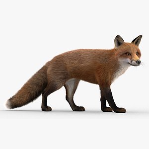 fox fur 3D