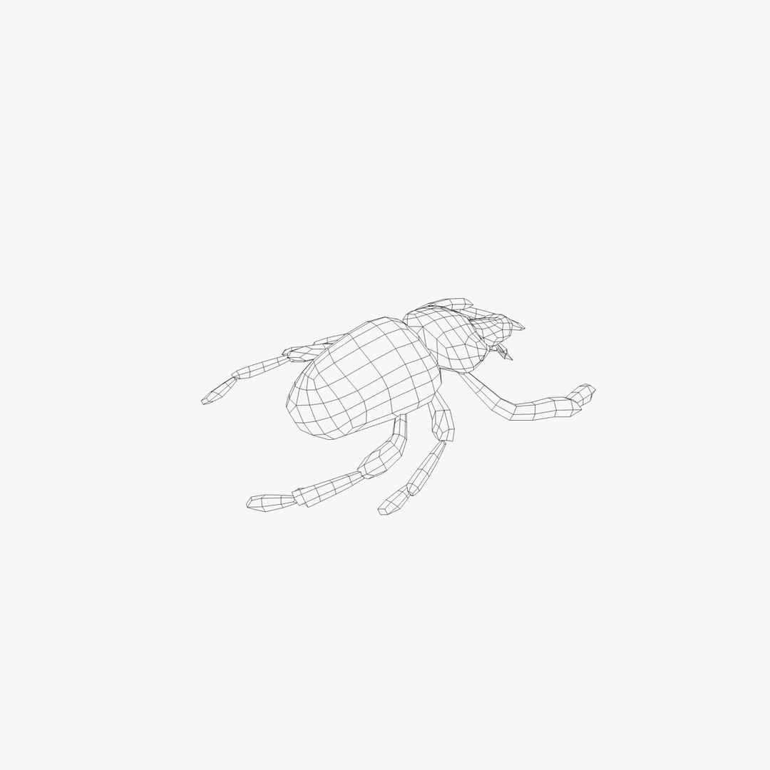 3d model beetle
