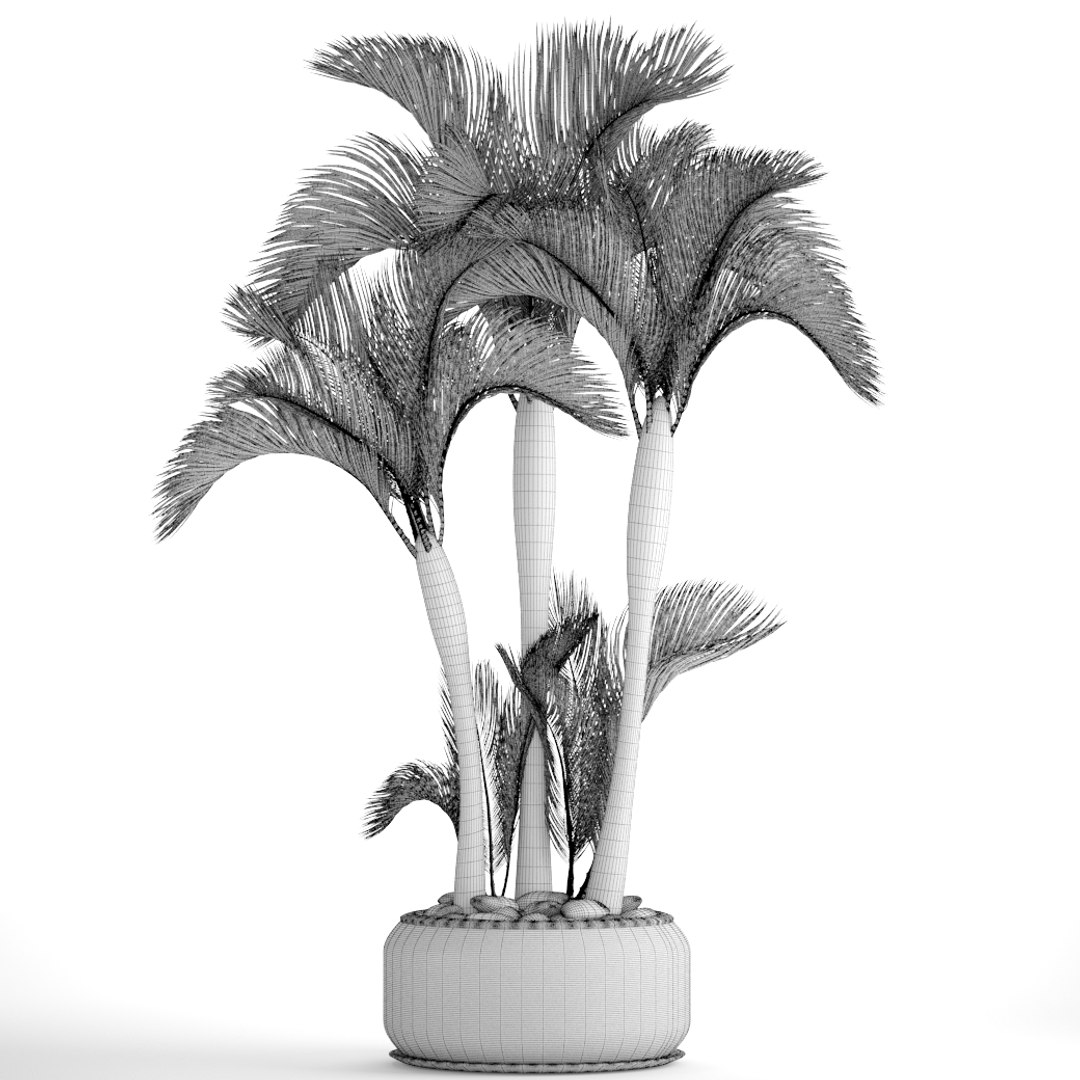 3D tropical plants https://p.turbosquid.com/ts-thumb/6f/erhpoM/5IrPihkM/plantspalmtropick09/jpg/1507139531/1920x1080/fit_q87/17b4e0f0cf5a5779293c6d42ea41698ea45c5dd7/plantspalmtropick09.jpg