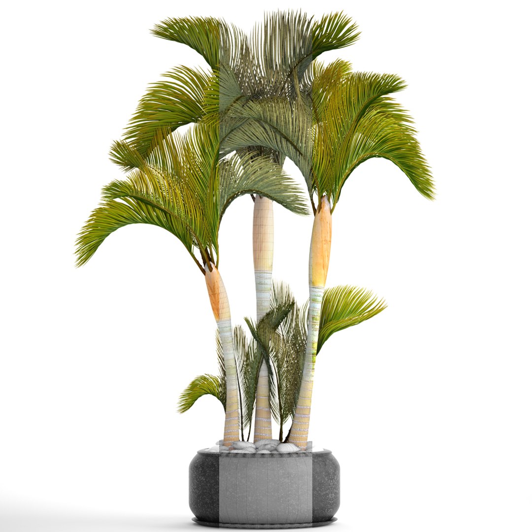 3D tropical plants https://p.turbosquid.com/ts-thumb/6f/erhpoM/f8oEkzjg/plantspalmtropick07/jpg/1507139531/1920x1080/fit_q87/2f858a020faff2f0cea286af709bdd81a1ad63dc/plantspalmtropick07.jpg