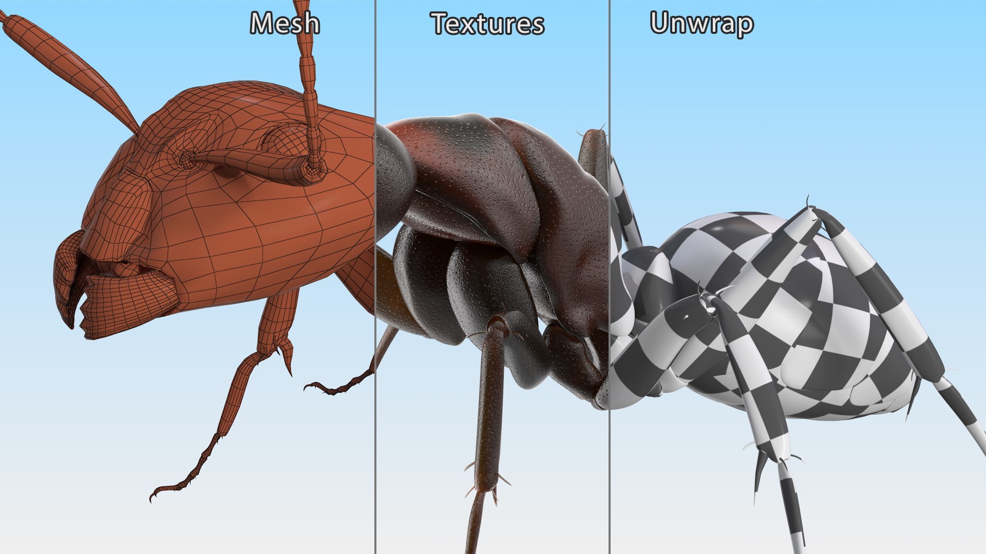 3D Realistic Red Ant Insect model https://p.turbosquid.com/ts-thumb/6f/nmkQTC/6V/realistic_red_ant_insect_013/jpg/1734045510/1920x1080/fit_q87/3cab6b201556881574f03cdc7323eb2fcf2c12ba/realistic_red_ant_insect_013.jpg