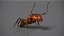 Realistic Red Ant Insect