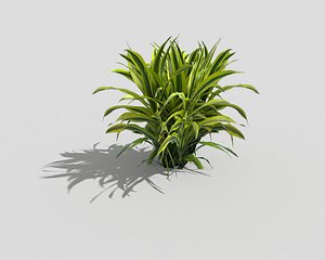 3d plant games model