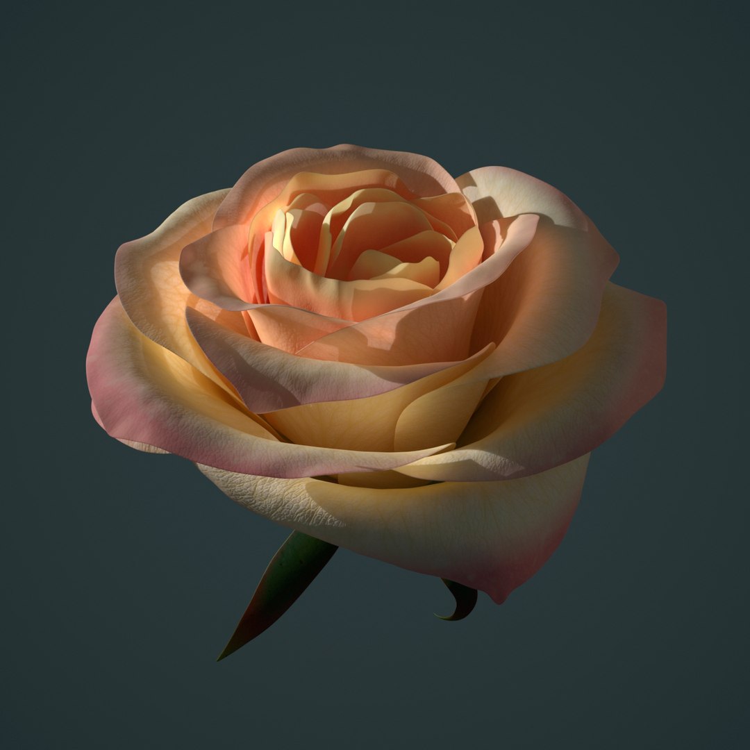 3D Rose Animation - TurboSquid 1252440