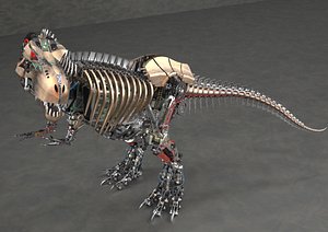 3D Tyrannosaurus Rex  T Rex model
