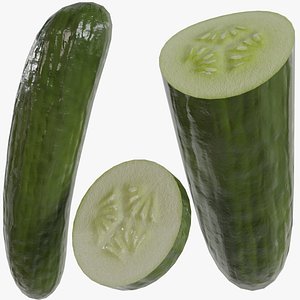 3D Cucumber model