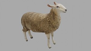 Sheep Shears - 3D Model by Blenduffo