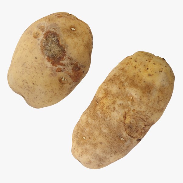 Potato Idaho 3D model