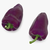 Purple Pepper Marconi