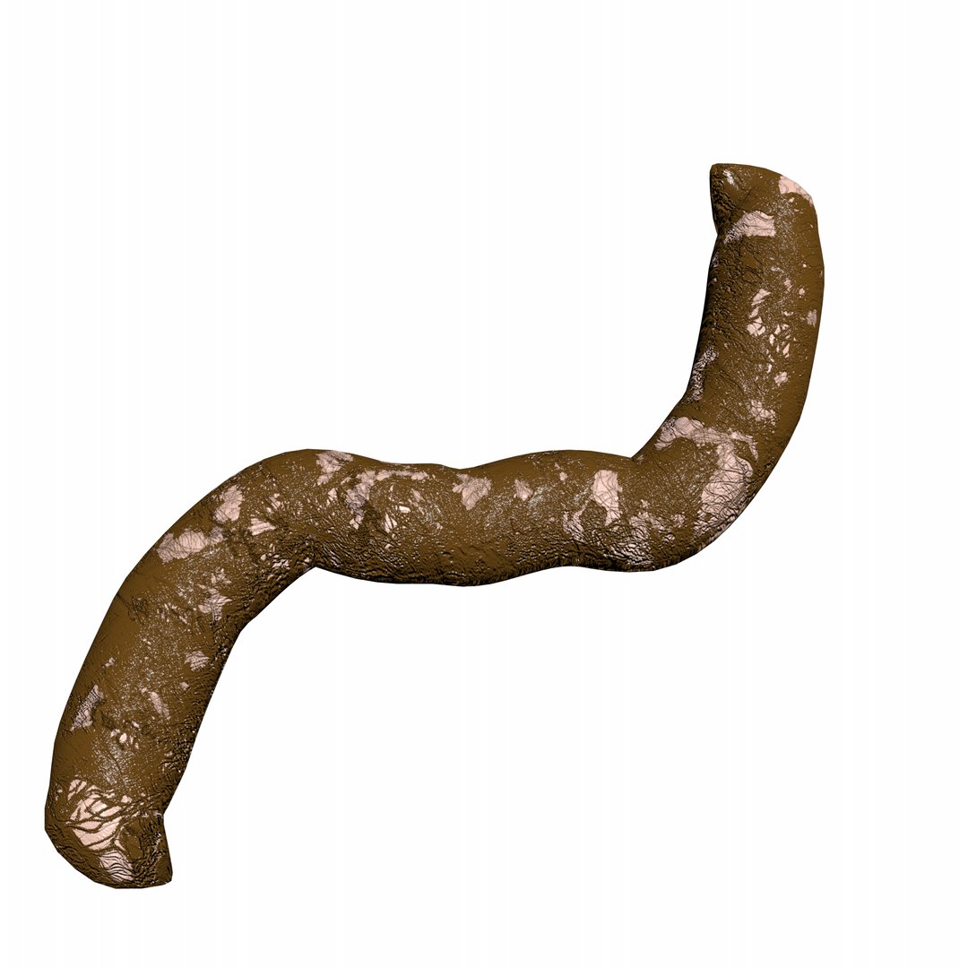 3D shit https://p.turbosquid.com/ts-thumb/6g/js7g8X/4XKxqeVB/a7/png/1544268582/1920x1080/fit_q87/7255b664c4e2826c234cb143f793ba339b56ccb8/a7.jpg