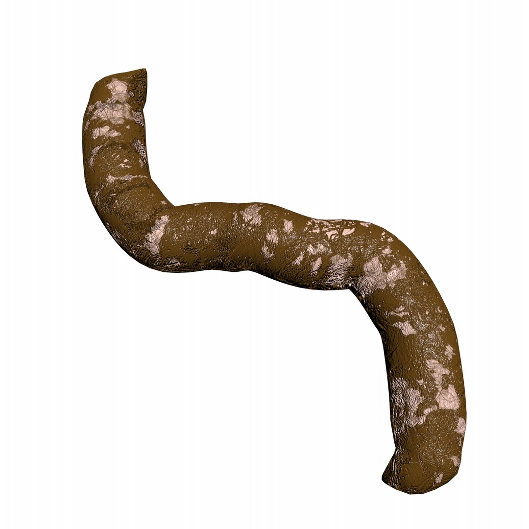 3D shit https://p.turbosquid.com/ts-thumb/6g/js7g8X/AsueQf2l/a6/png/1544268582/1920x1080/fit_q87/84ad3ff313c677cce4e19b98b2662780ee913cf3/a6.jpg