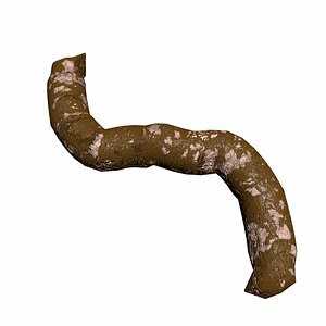 Feces