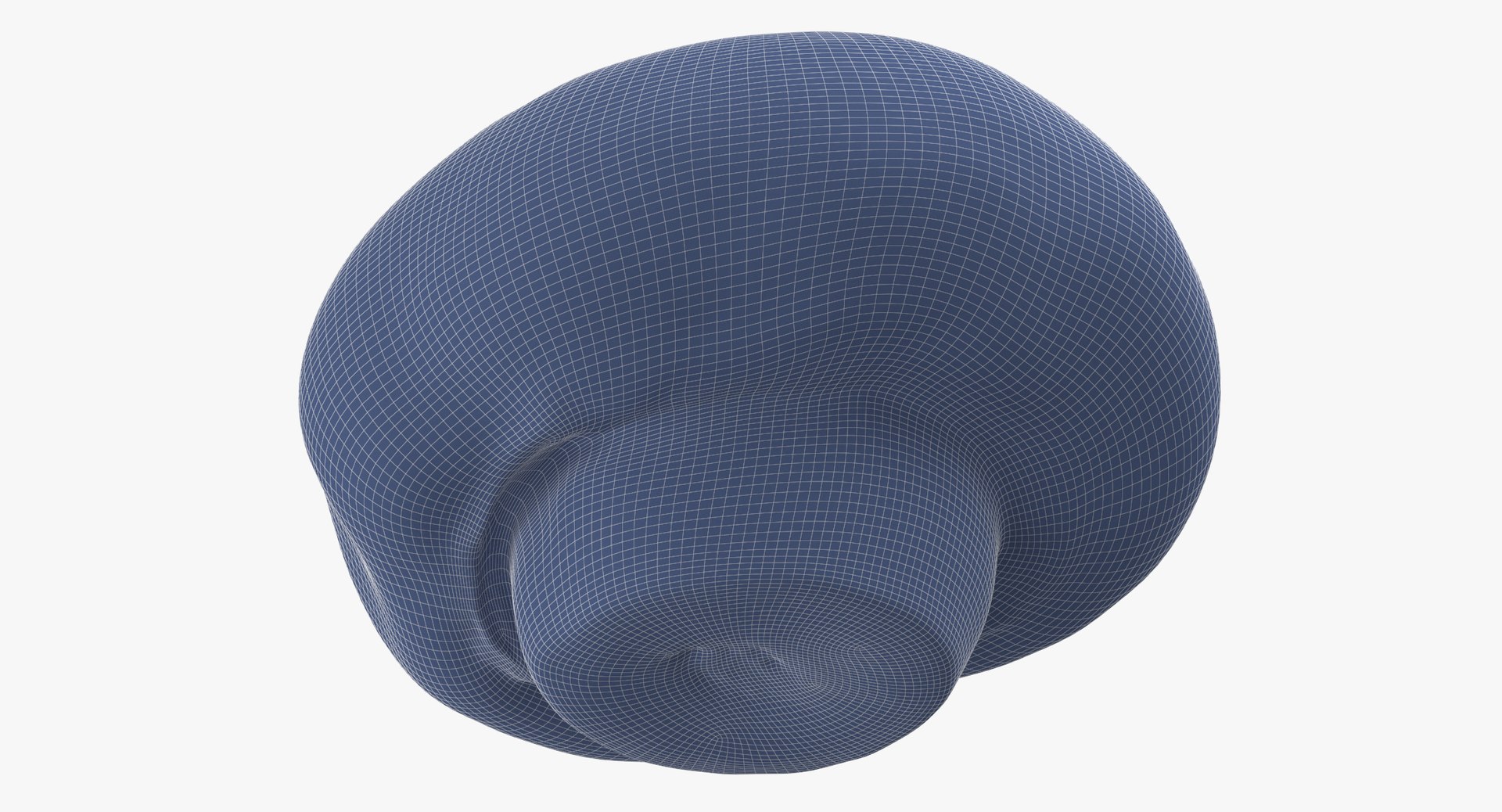 3D Cut Fruits and Vegetables Collection 02 - 15 models https://p.turbosquid.com/ts-thumb/6g/nBChXR/gE/white_button_mushroom_01_wireframe_01_0007/jpg/1637162698/1920x1080/fit_q87/cebea88a3c16daa1f22dc28620cdd7742056a30c/white_button_mushroom_01_wireframe_01_0007.jpg