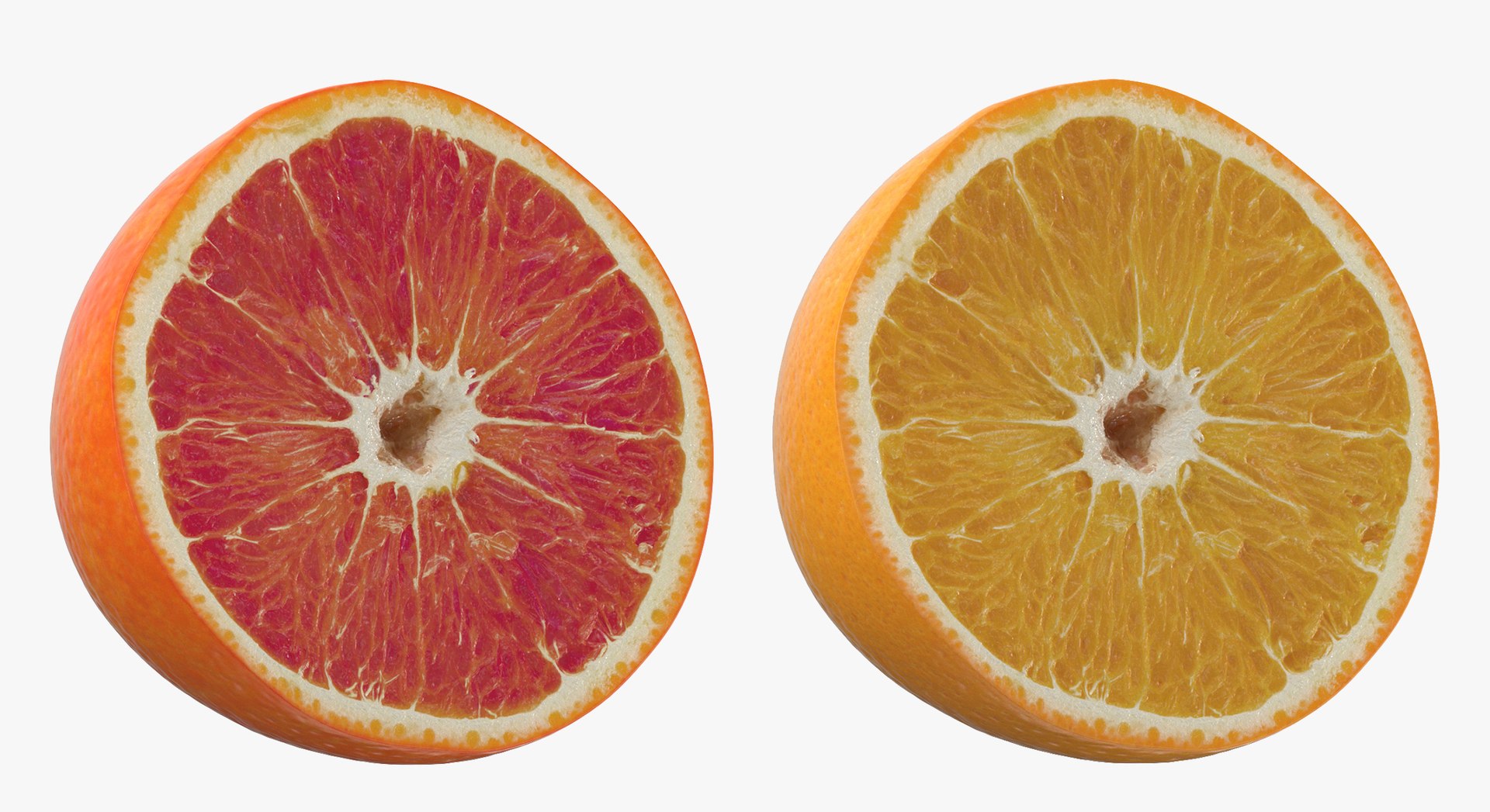 3D Cut Fruits and Vegetables Collection 02 - 15 models https://p.turbosquid.com/ts-thumb/6g/nBChXR/zK/1/jpg/1637162019/1920x1080/fit_q87/f7368474ee99f44787f76739a110c1da08e3817e/1.jpg