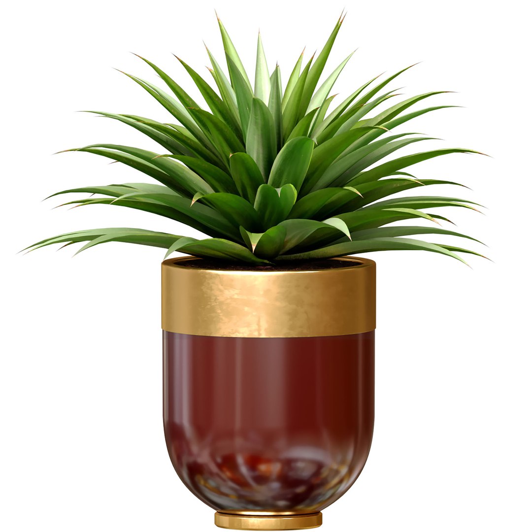 Decorative tropical Agave plant in modern Luxury flower pots vases urns Godwin Longhi Indoor plant 3D model https://p.turbosquid.com/ts-thumb/6g/rbtM2Q/CL/ads4/jpg/1734429475/1920x1080/fit_q87/413d3f0a185b99131046fb2ddebebb1a0cbe66b1/ads4.jpg