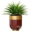 Planta de Agave tropical decorativa em vasos de flores de luxo modernos vasos urnas Godwin Longhi Planta de interior